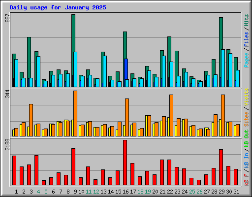 Daily usage for January 2025