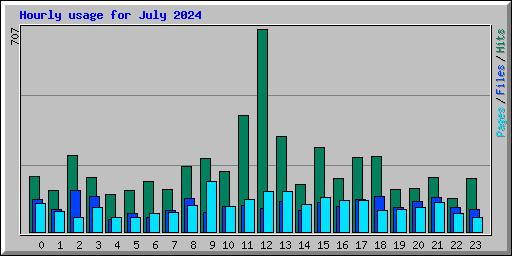 Hourly usage for July 2024