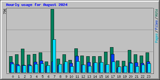 Hourly usage for August 2024