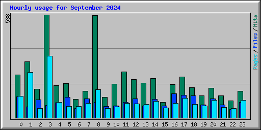 Hourly usage for September 2024