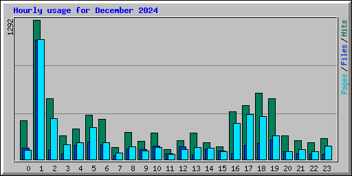 Hourly usage for December 2024