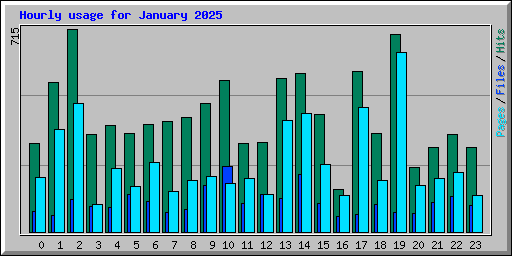 Hourly usage for January 2025