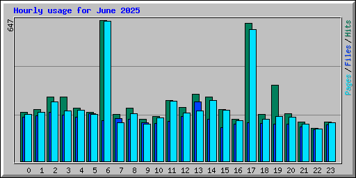 Hourly usage for June 2025