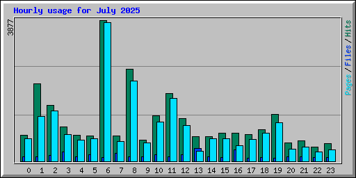 Hourly usage for July 2025