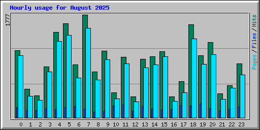 Hourly usage for August 2025