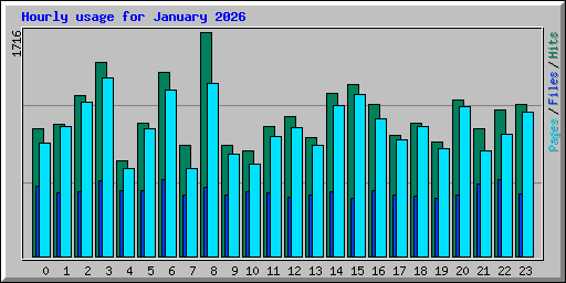 Hourly usage for January 2026