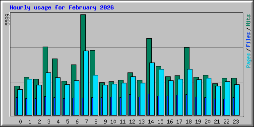 Hourly usage for February 2026