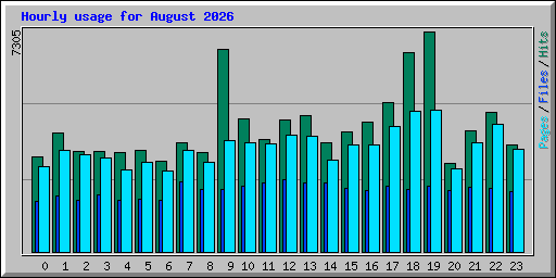 Hourly usage for August 2026