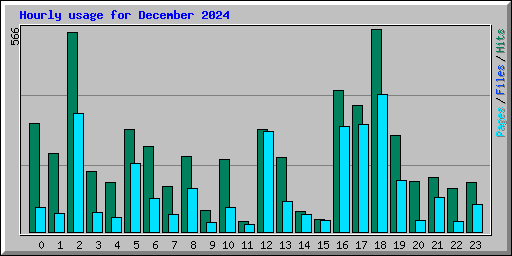 Hourly usage for December 2024