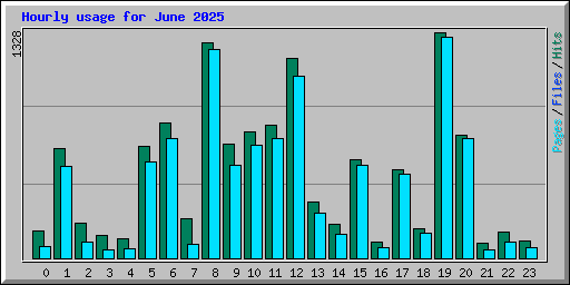 Hourly usage for June 2025