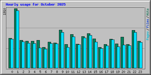 Hourly usage for October 2025