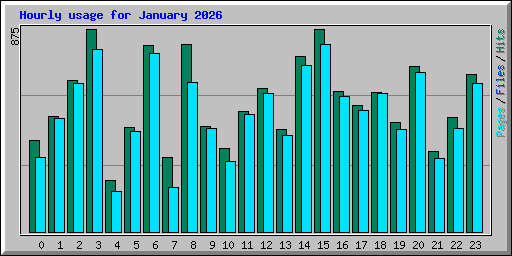 Hourly usage for January 2026